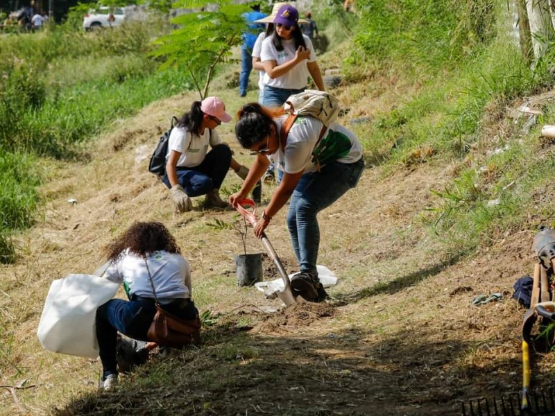 Reforestan laguna la Ilusión en Veracruz