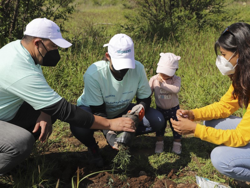 Reforestan tierras en San Juan del Río