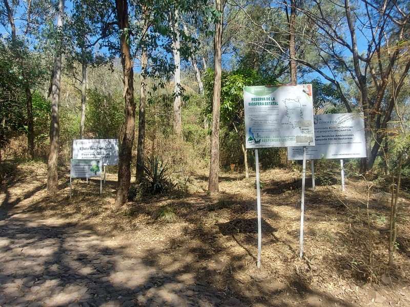 Reforestará Ayuntamiento capitalino Cerro de San Juan y la Cantera