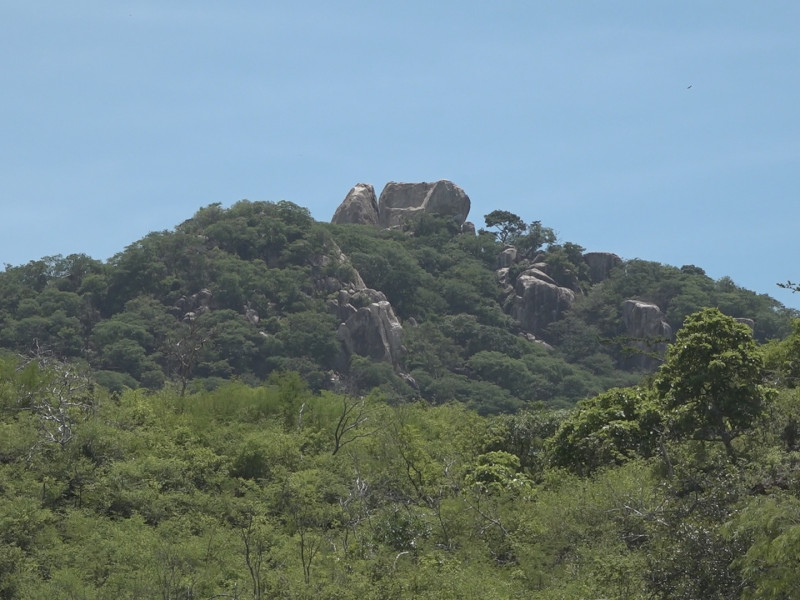 Reforestarán 300 hectáreas siniestradas en la reserva Tecuani-Piedra Cuachi