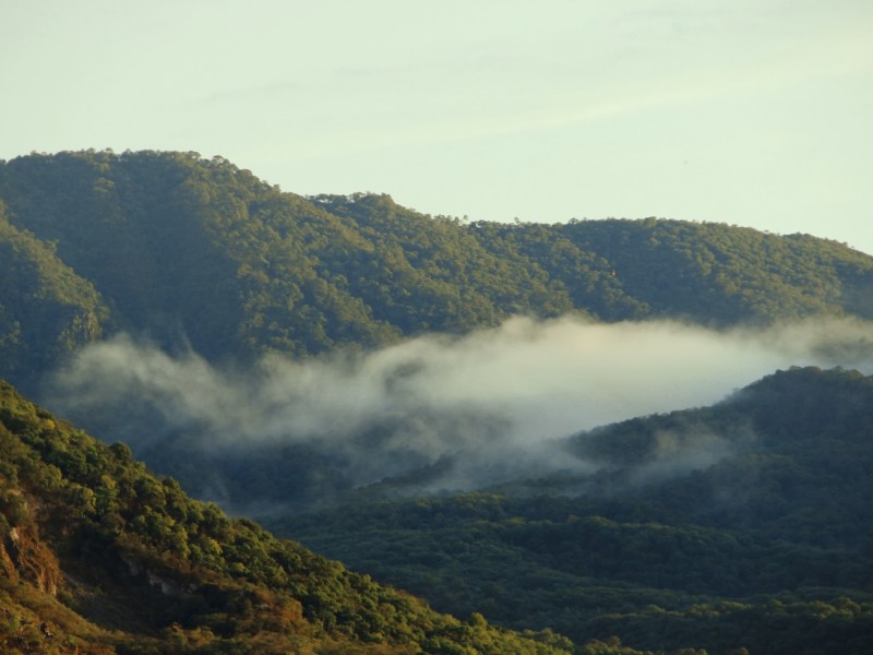 Reforestarán cerro de San Juan con drone