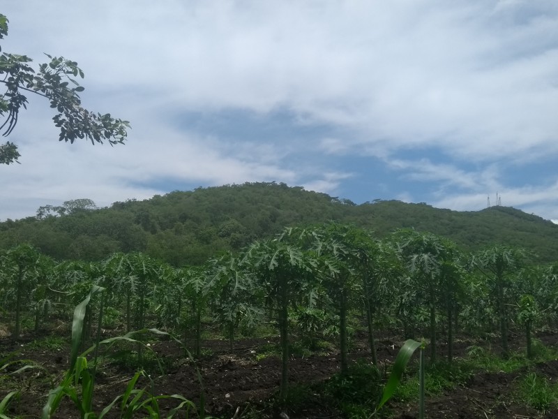 Reforman ley para ayudar a pequeños productores rurales