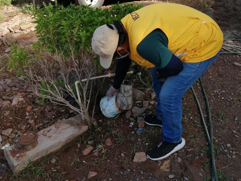 Reforzarán campaña de fumigación en San Miguel