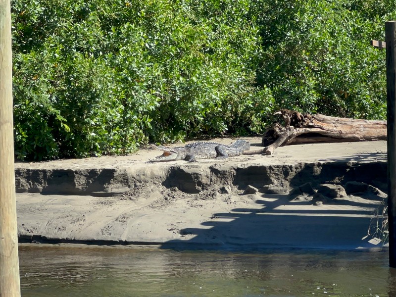 Reforzarán vigilancia en barra de Playa Linda