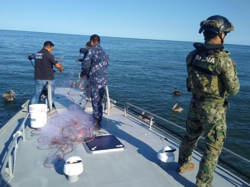 Reforzarán vigilancia por levantamiento de veda de camarón