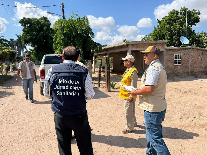 Refuerzan acciones contra la rickettsiosis en comunidades de Ahome Refuerzan acciones contra la rickettsiosis en comunidades de Ahome