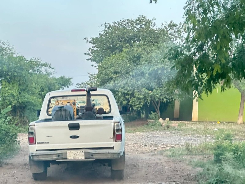 Refuerzan acciones de fumigación en Santa Gertrudis Miramar para prevenir enfermedades