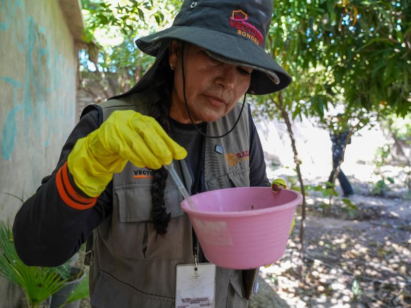 Refuerzan acciones para prevenir más casos de dengue en Poblado Miguel Alemán
