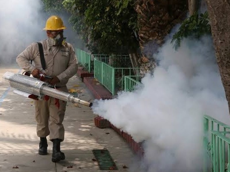 Refuerzan acciones preventivas contra el dengue en Zamora