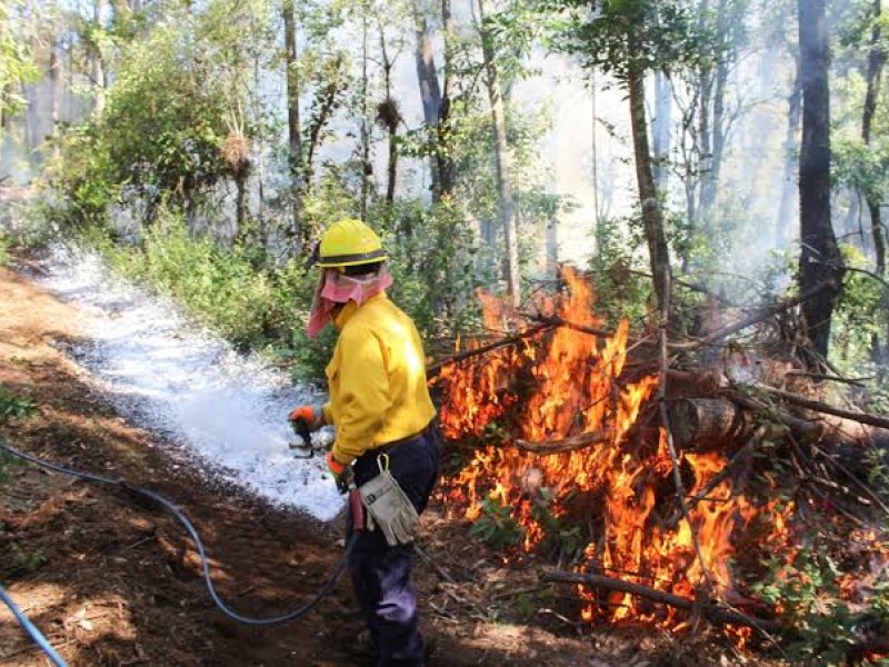 Refuerzan acciones preventivas contra incendios forestales por altas temperaturas