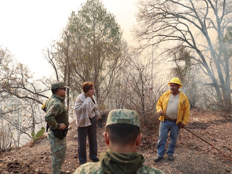 Refuerzan brigadas contra incendio forestal en El Palmito