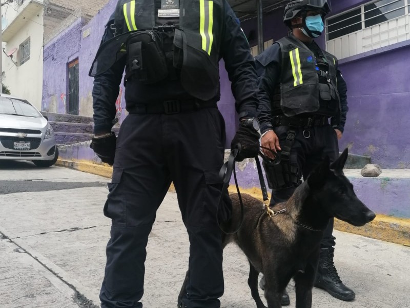 Refuerzan búsqueda de personas con caninos en Tlalnepantla