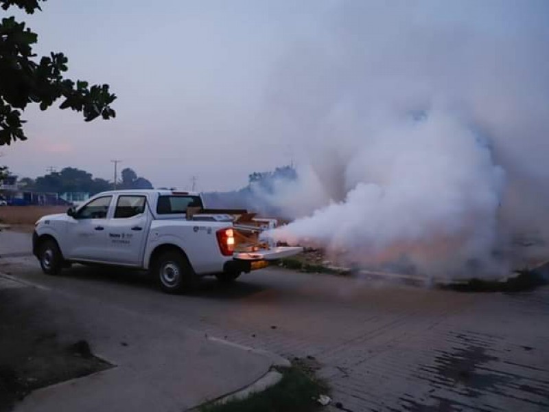 Refuerzan campaña de fumigación en el Istmo por dengue