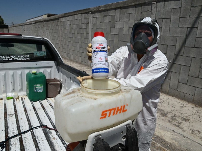 Refuerzan campaña para prevenir nuevos casos de Rickettsia en Gómez Palacio