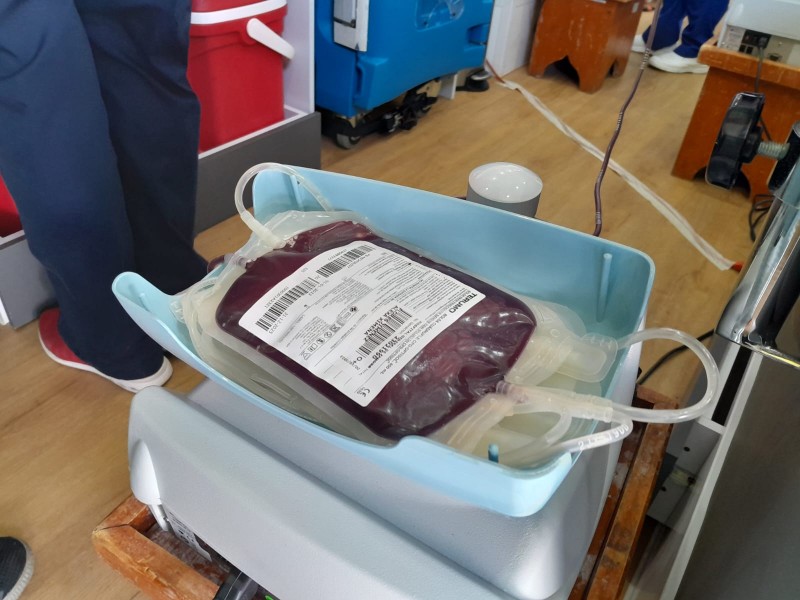 Refuerzan campañas de donación altruista de sangre para pacientes oncológicos