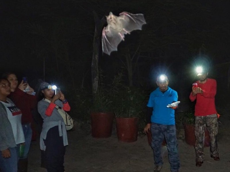 Refuerzan charlas informativas sobre la importancia del Murciélago en Tuxpan