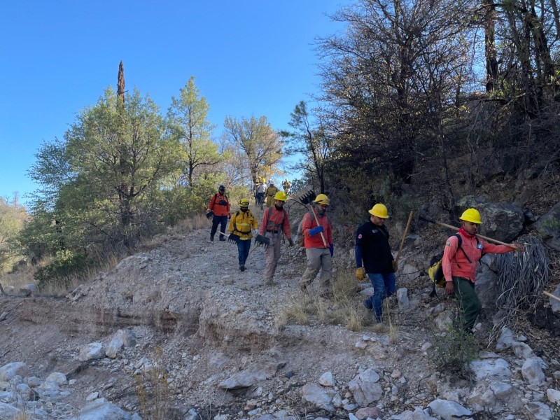 Refuerzan combate a incendio en Agua Prieta con más brigadistas