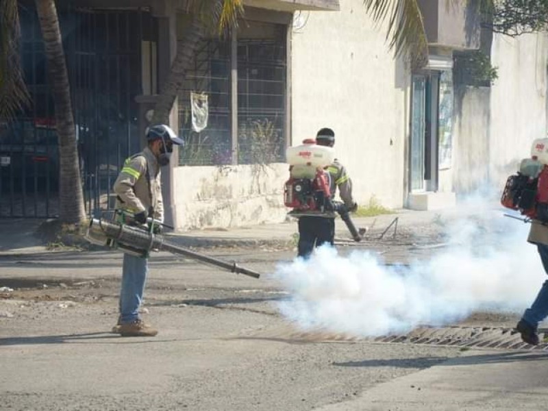 Refuerzan fumigación contra el mosquito en colonias de Veracruz