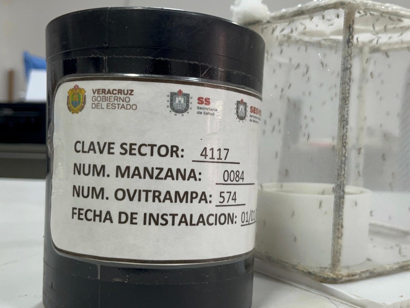 Refuerzan medidas contra dengue en Tuxpan ante temporada de riesgo