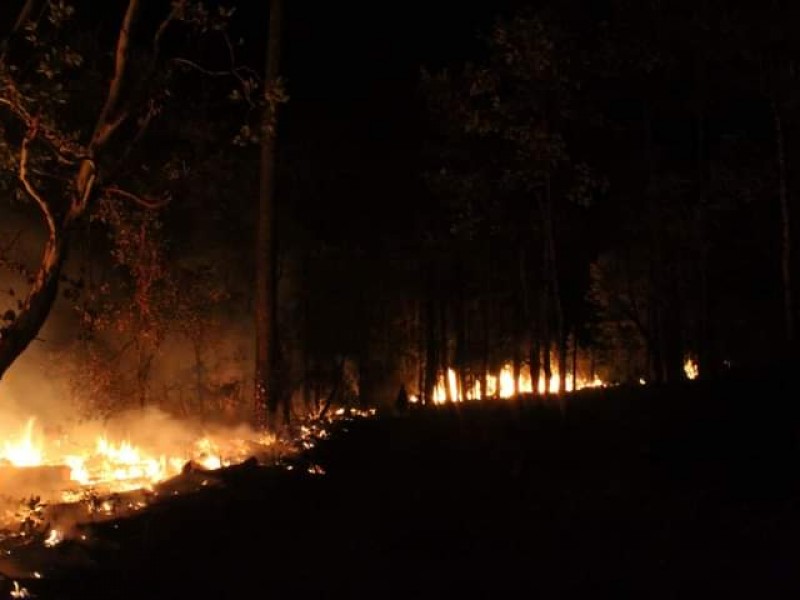 Refuerzan medidas preventivas contra incendios en zona urbana