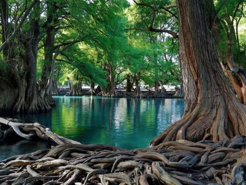 Refuerzan restricciones sanitarias en el Lago de Camécuaro en Tangancícuaro