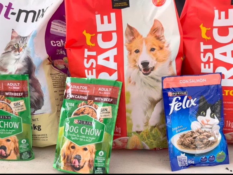 Refugios de Tuxpan enfrentan escasez de alimento para mascotas rescatadas