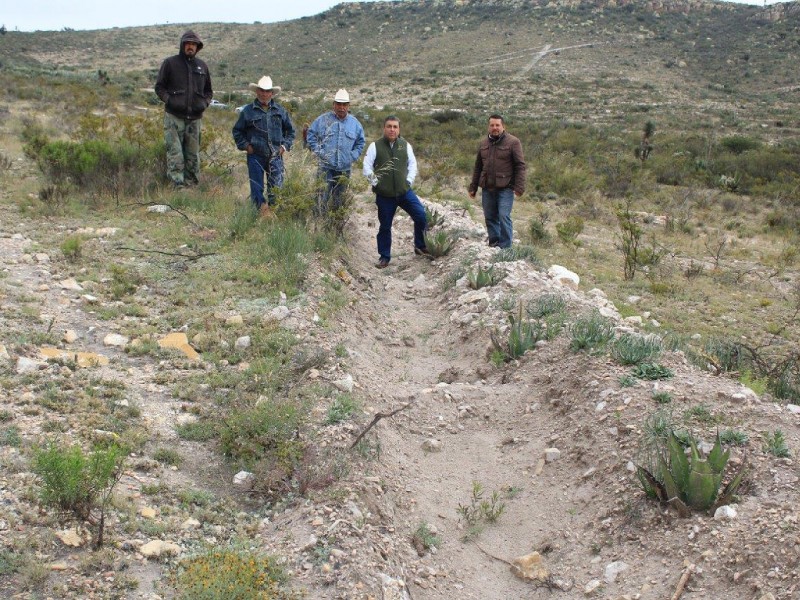 Regeneran terreno deforestado en Villa Hidalgo