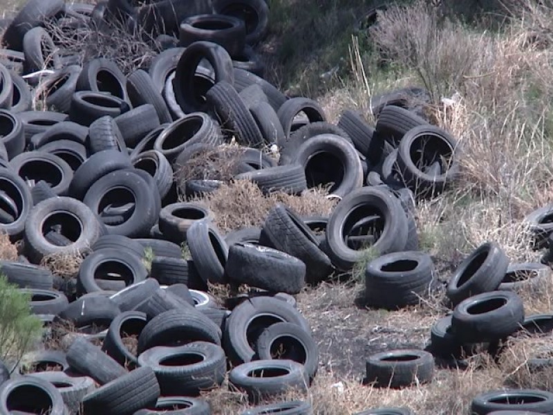 Regidor del PRI propone sancionar a cochinones...