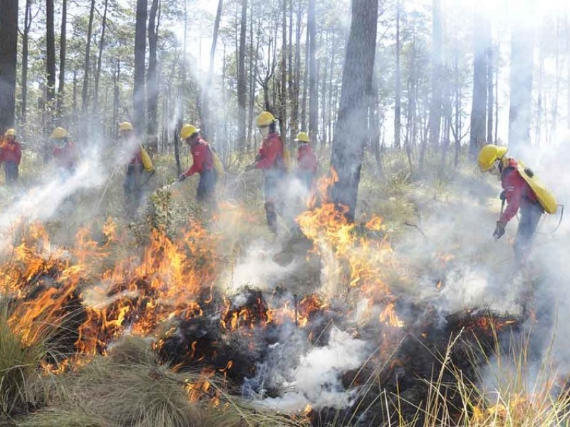 Región Metropolitana y Costa las más susceptibles a incendios