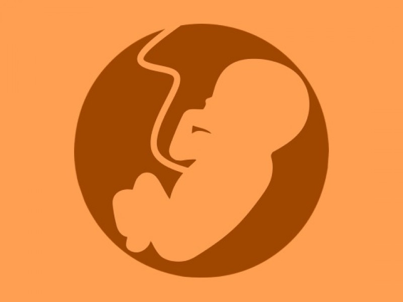 Registra México más de 60 muertes fetales al día