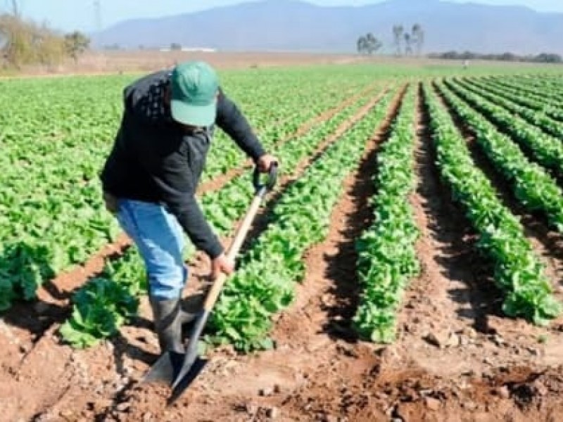 Registra SADER reducción histórica al presupuesto 2020