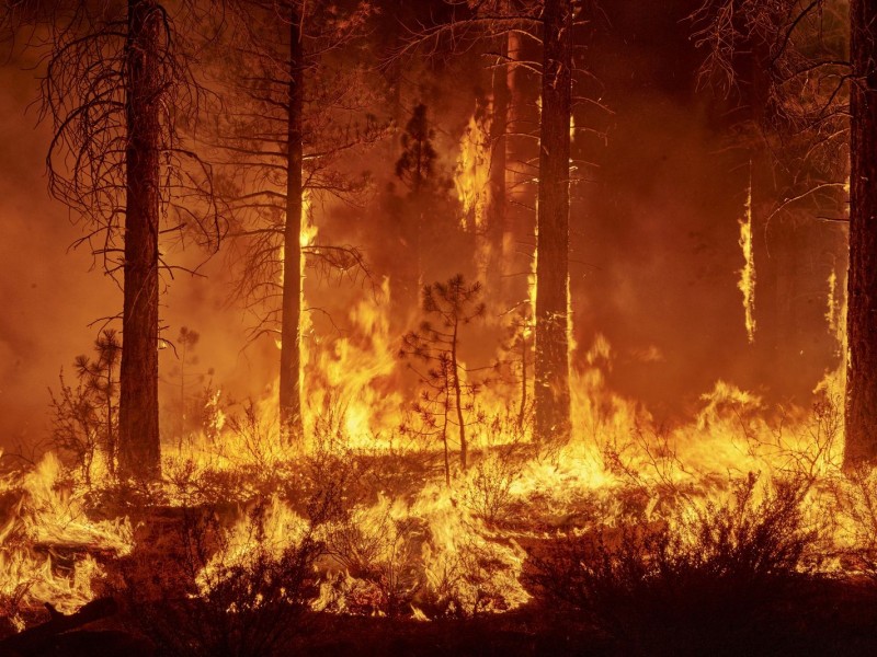 Registra San Dimas los incendios más grandes