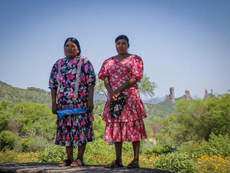 Registra Sedesson afectaciones por Hilary en comunidades indígenas