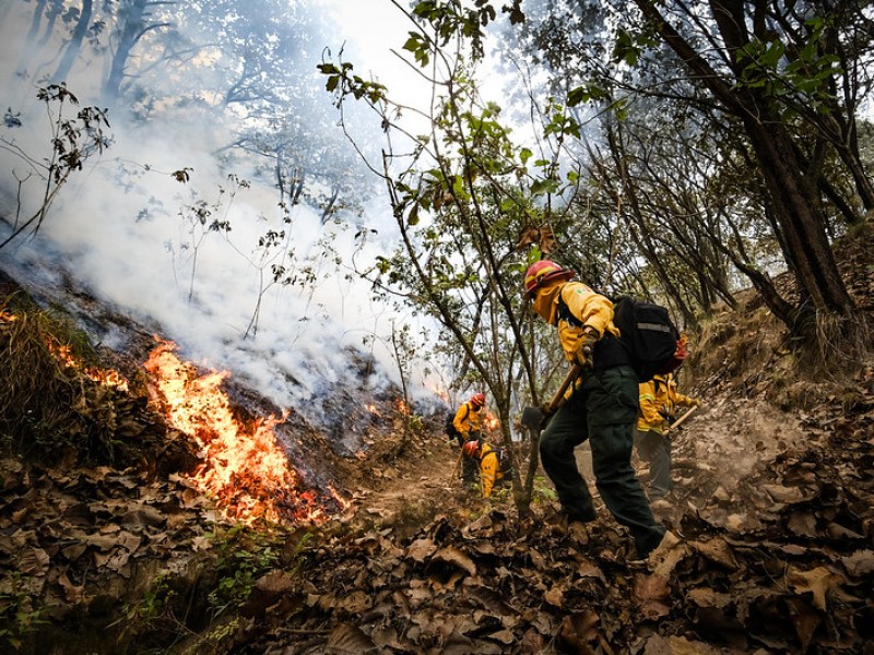 Registra Zapopan 200 incendios en el año