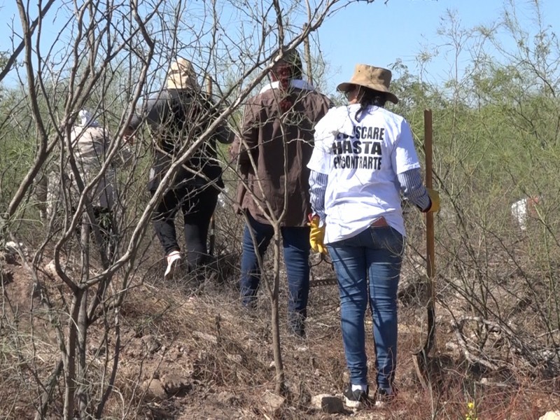 Registran 100 desapariciones forzadas en la zona norte de Sinaloa