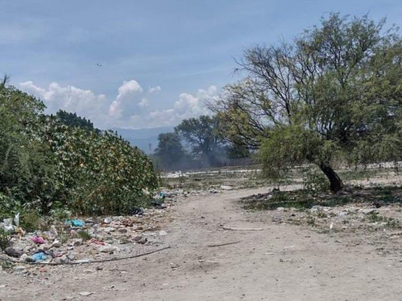 Registran contaminación por quema de plumas 2 colonias