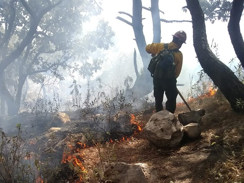 Registran incendio forestal dentro del Bosque de La Primavera
