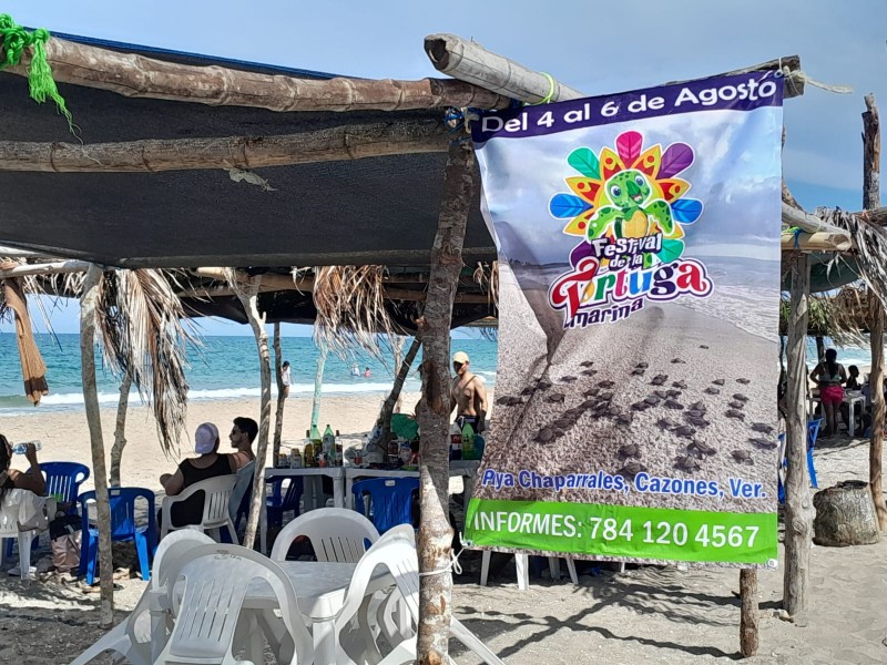 Regresa el Festival de la Tortuga Marina en Chaparrales