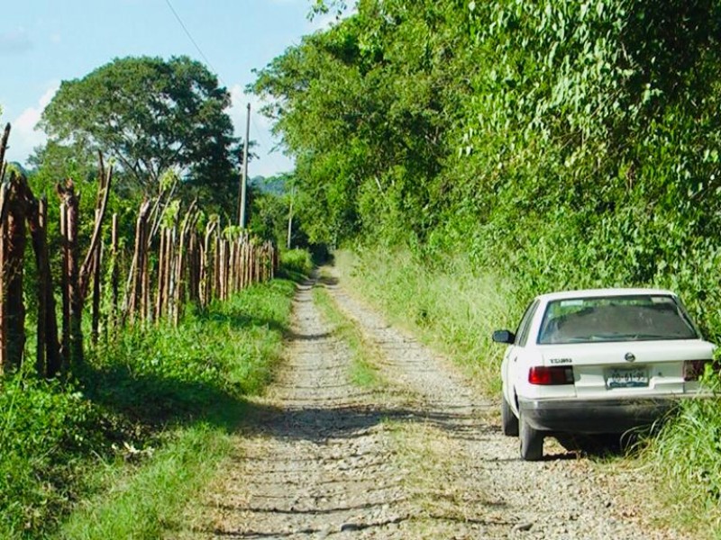 Regresan colectivos a La Gallera