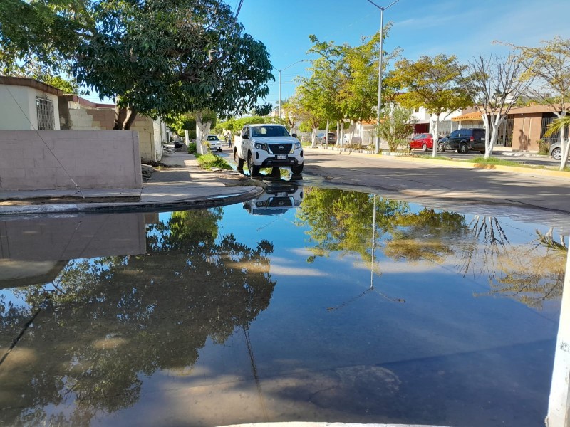 Regresan las aguas negras al Infonavit Macapule