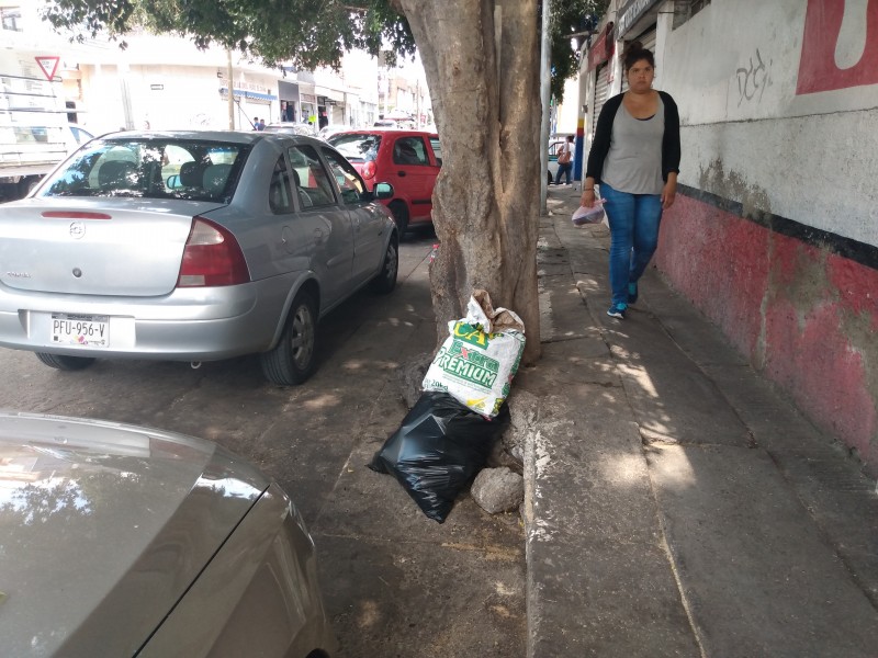 Regularizan en Sahuayo sistema de recolección de basura