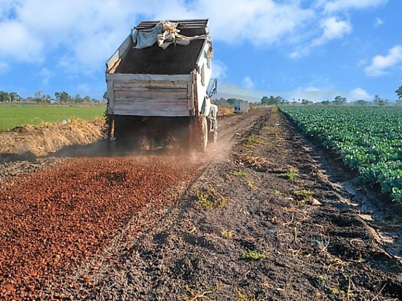 Rehabilitación de caminos saca cosechas, beneficiará economía de productores