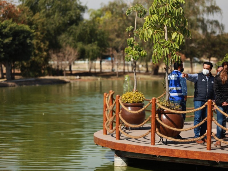 Rehabilitación del Parque Alfalfares