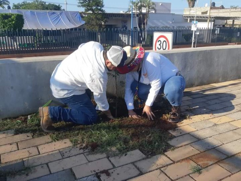 Rehabilitan áreas verdes de Tuxpan