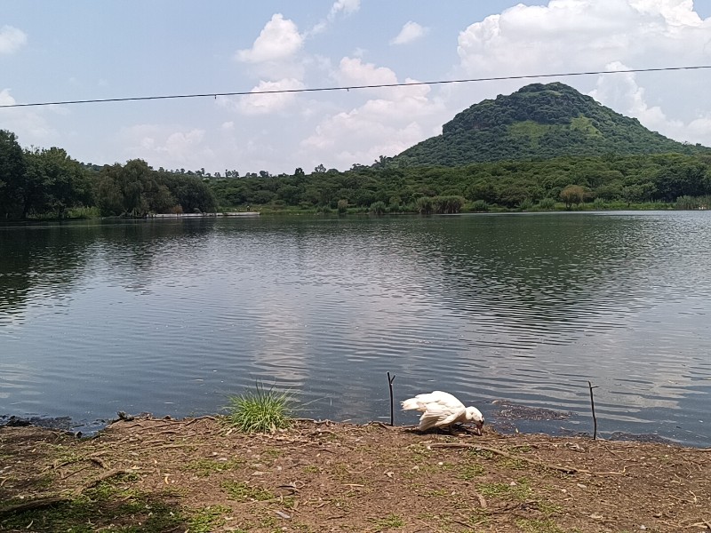 Rehabilitan la Presa de La Luz en Jacona como nuevo espacio familiar