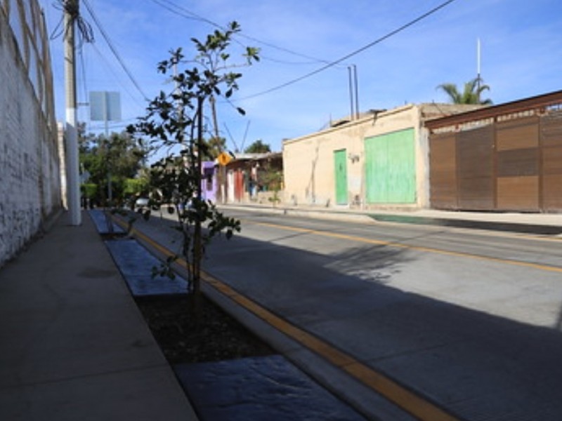 Rehabilitan vialidad en la colonia Paseos de Briseño en Zapopan