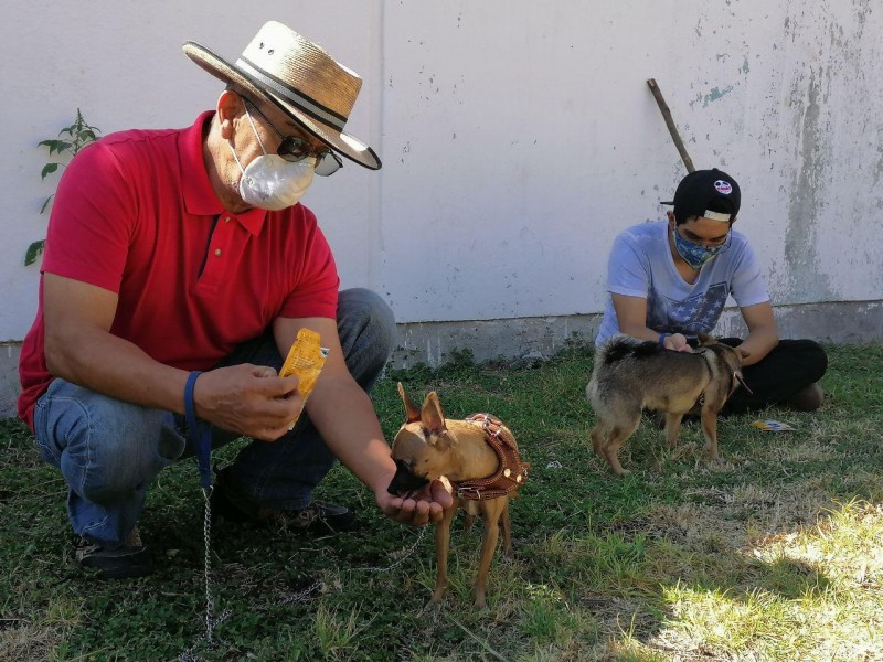 Reinicia actividades programa Can Confiable