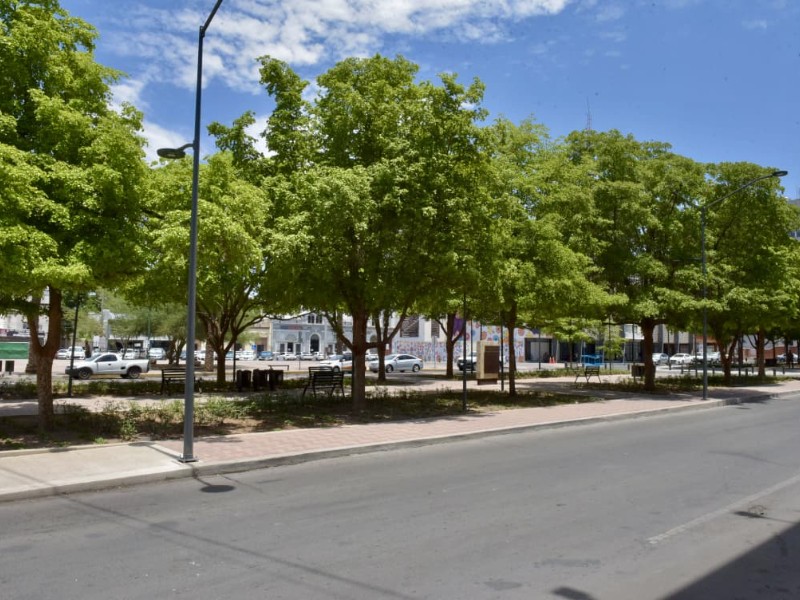 Reitera Ayuntamiento de Hermosillo el diálogo con INAH sobre obra