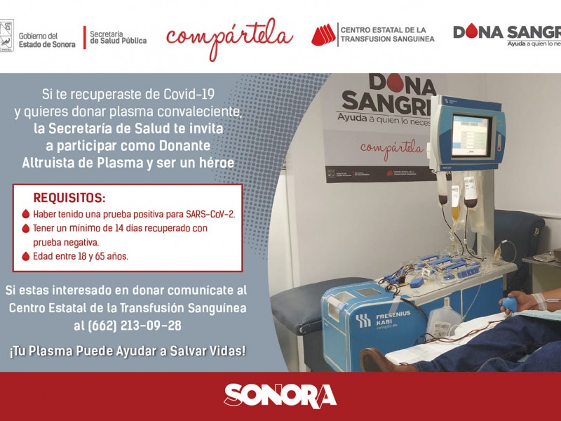 Reitera Salud Sonora llamado a donar plasma convaleciente de Covid-19
