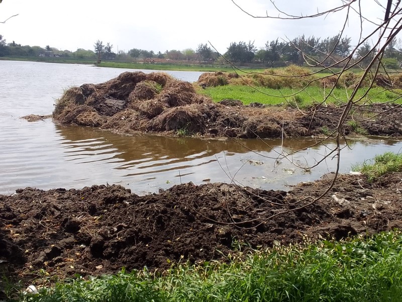 Remediación en Laguna Lagartos lleva 50% de avance